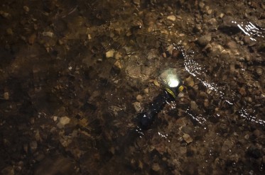 Armytek Elf C2 Max USB-C PCB White